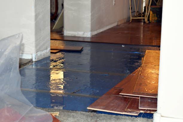 Professional Water Damage Restoration technician working in Avoca, PA